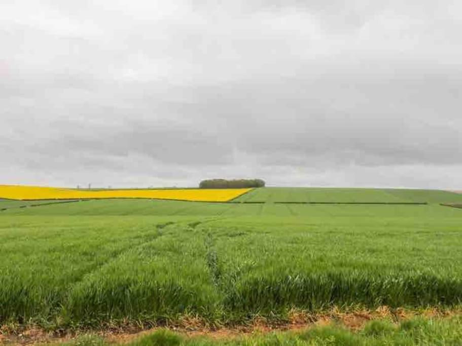 Wayside, Yorkshire Wolds