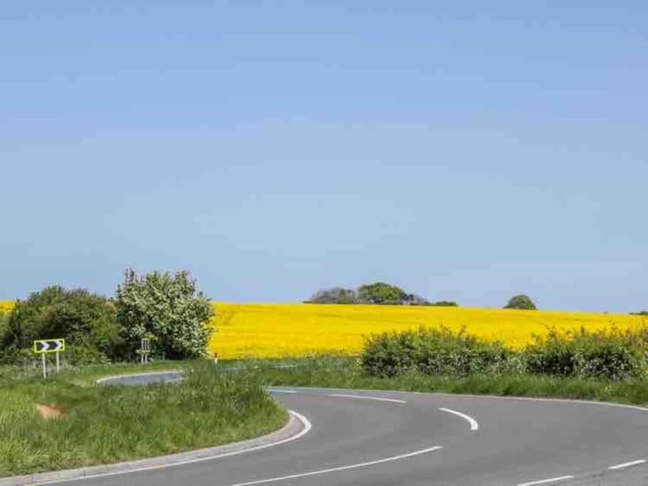 Wayside, Yorkshire Wolds * Nafferton